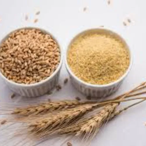 Gandum (Wheat) Dahlia - Product Image