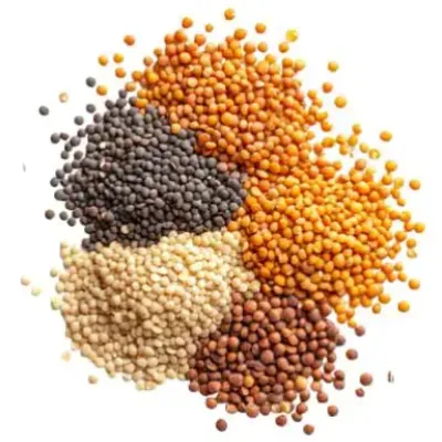 All Products - Ghalla Mandi Karachi